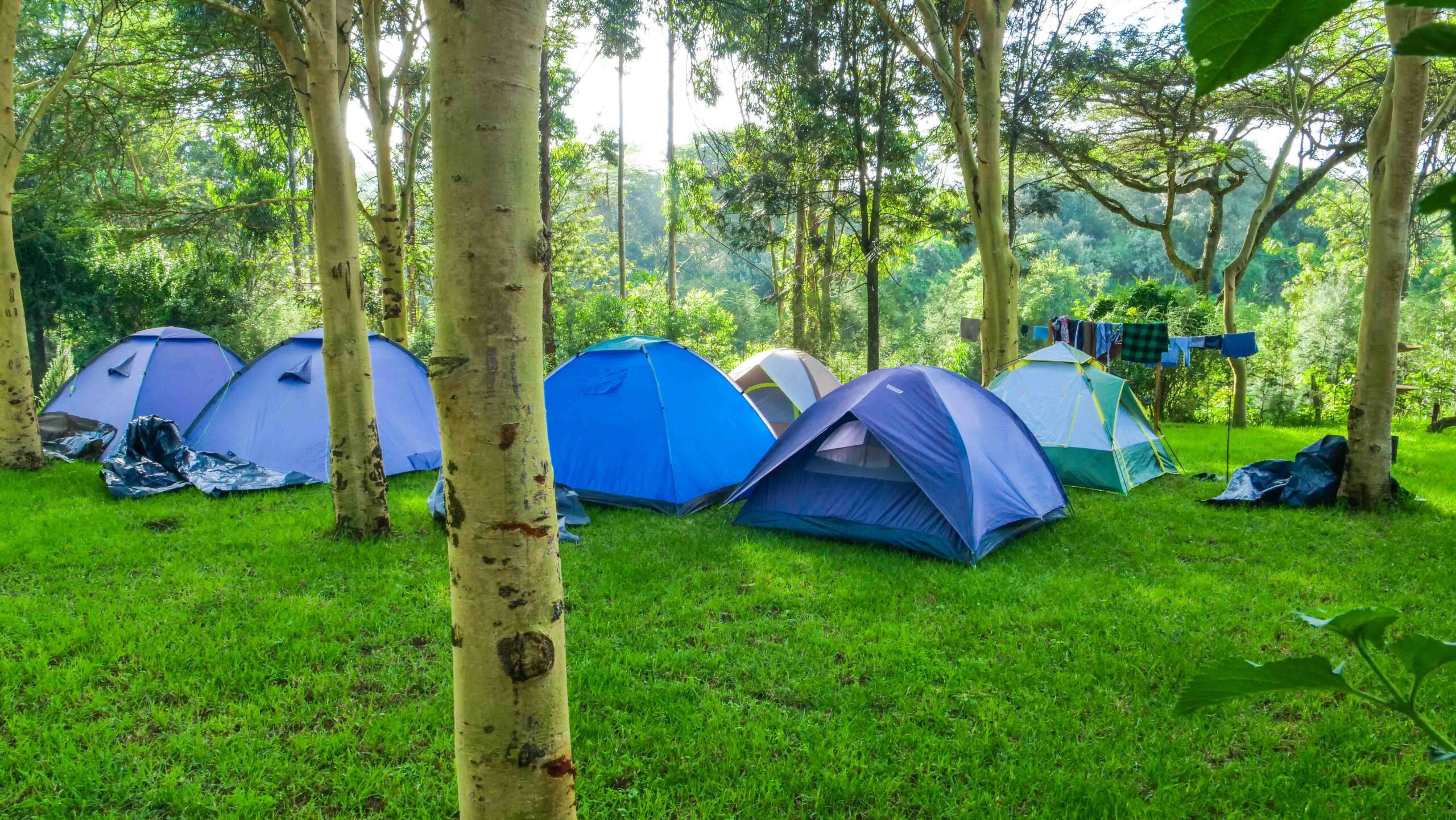 Family Tent Camping