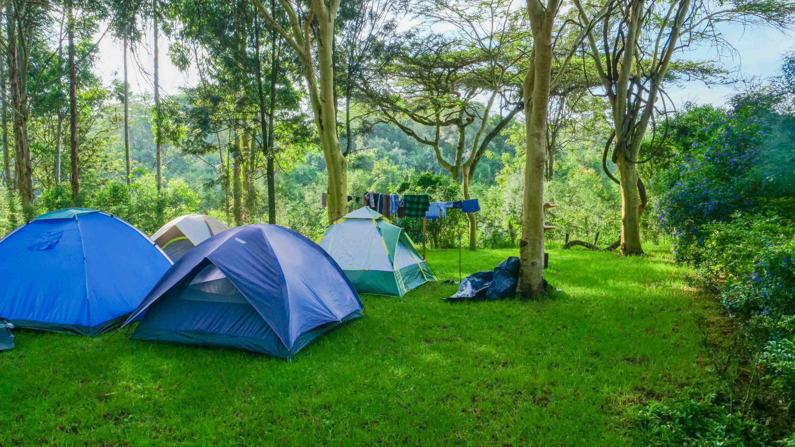 Single Tent Camping
